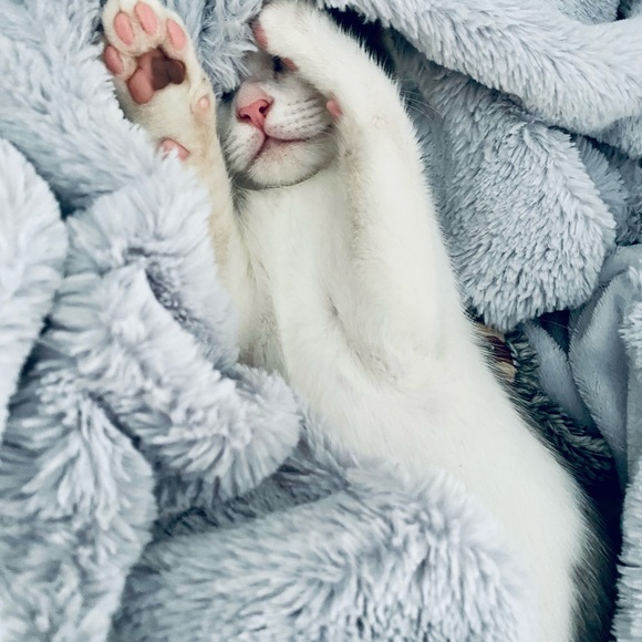 Meet your Posher, Rebecca - Picture 4 of 16